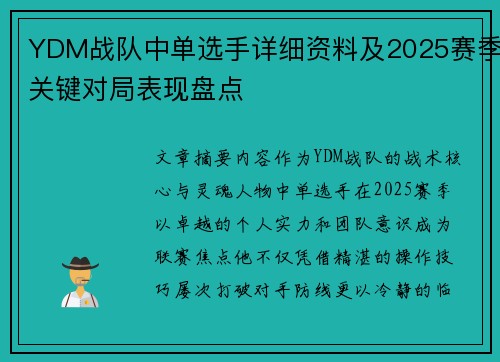 YDM战队中单选手详细资料及2025赛季关键对局表现盘点