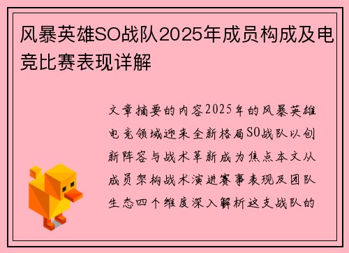 风暴英雄SO战队2025年成员构成及电竞比赛表现详解